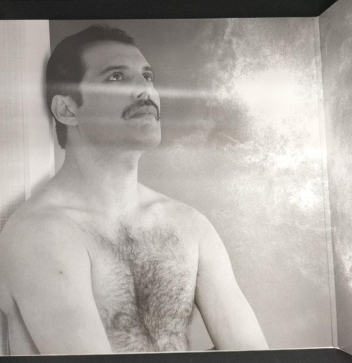 - FREDDIE MERCURY / NEVER BORING 0602577404306