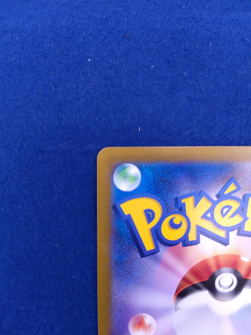 Pokémon Pokémon Card Southern Dragona EX
