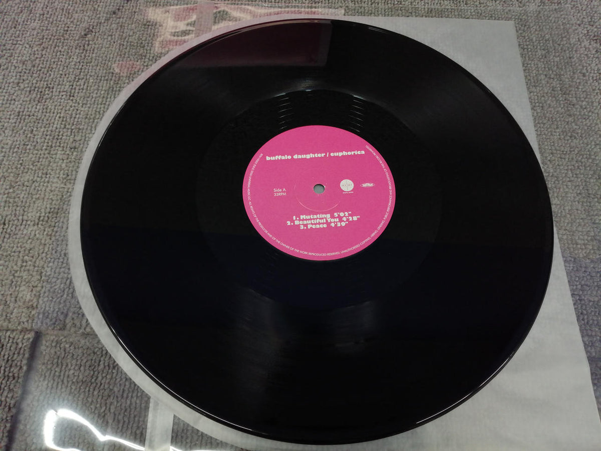 BUFFALO RANCH BUFFALO DAUGHTER/EUPHORICA BDV-19002