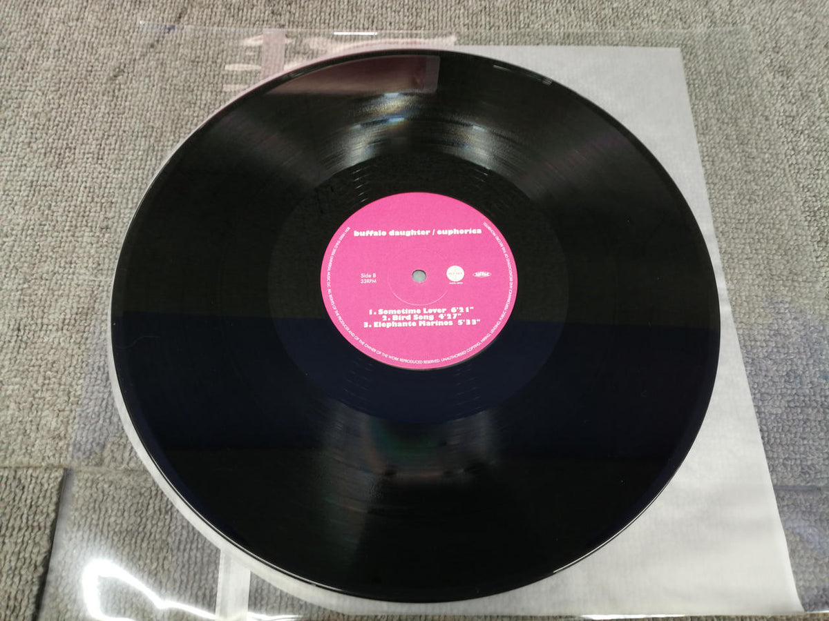 BUFFALO RANCH BUFFALO DAUGHTER/EUPHORICA BDV-19002
