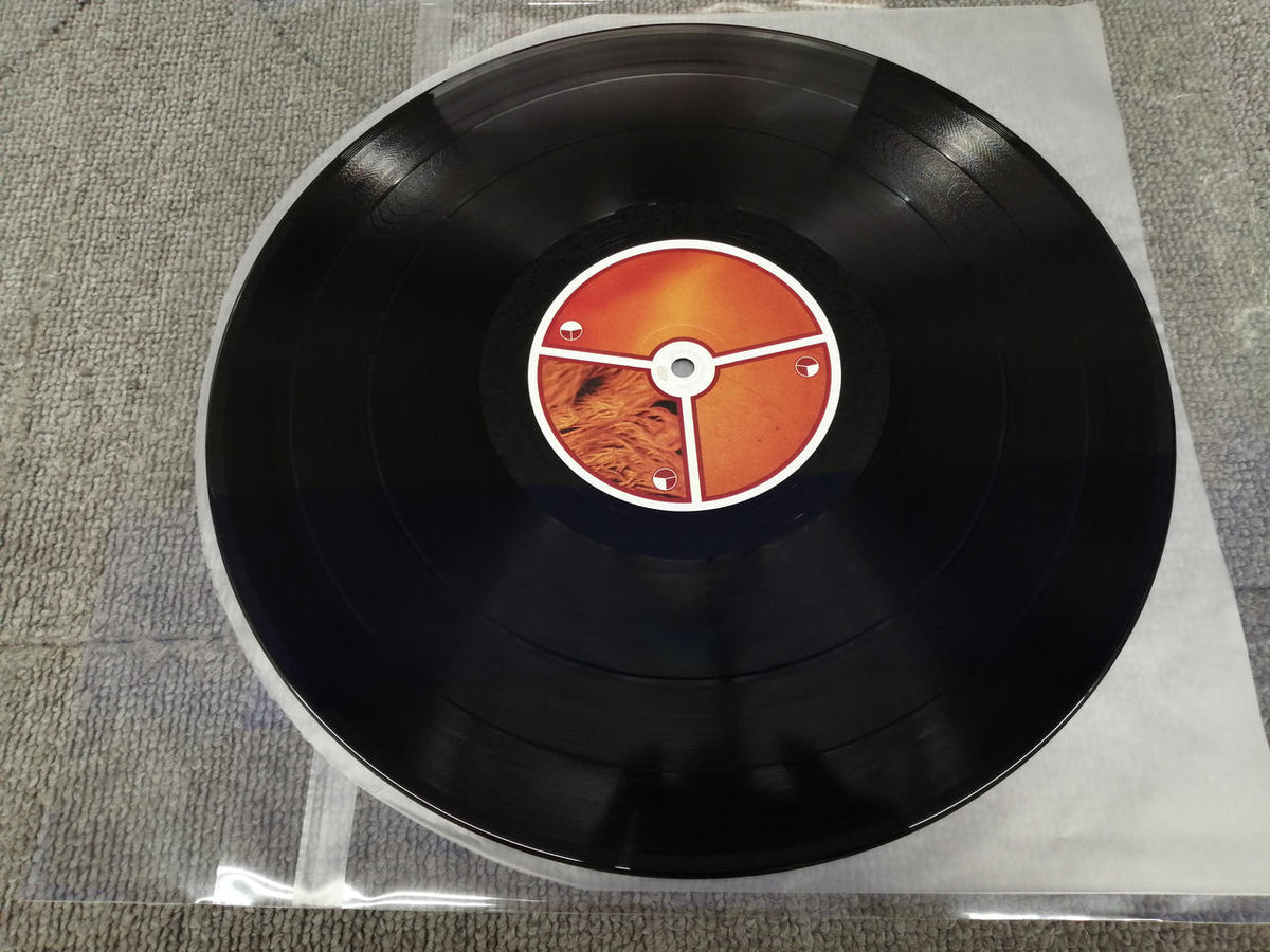 BEAT RECORDS APHEX TWIN/SELECTED AMBIENT WO WARPLP21RBR