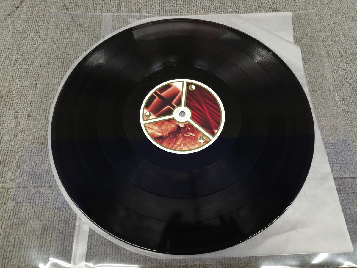 BEAT RECORDS APHEX TWIN/SELECTED AMBIENT WO WARPLP21RBR