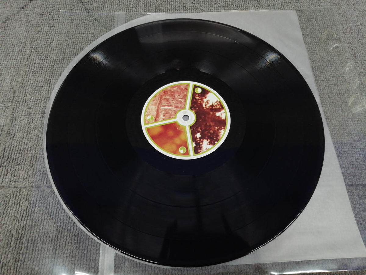 BEAT RECORDS APHEX TWIN/SELECTED AMBIENT WO WARPLP21RBR