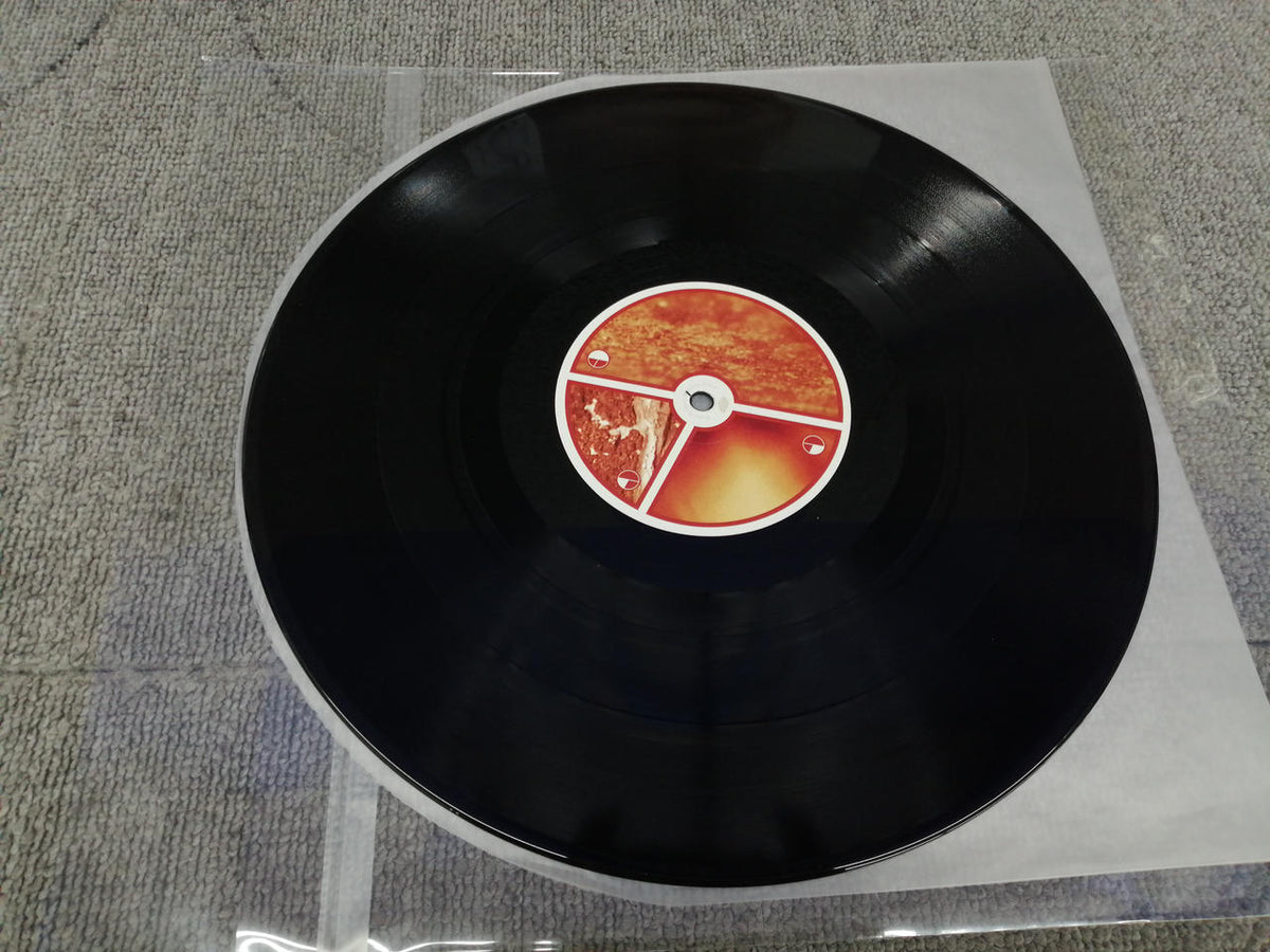BEAT RECORDS APHEX TWIN/SELECTED AMBIENT WO WARPLP21RBR
