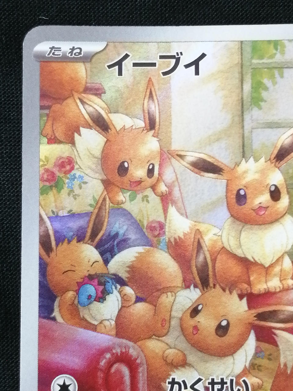 Pokémon Corporation Eevee 078/066