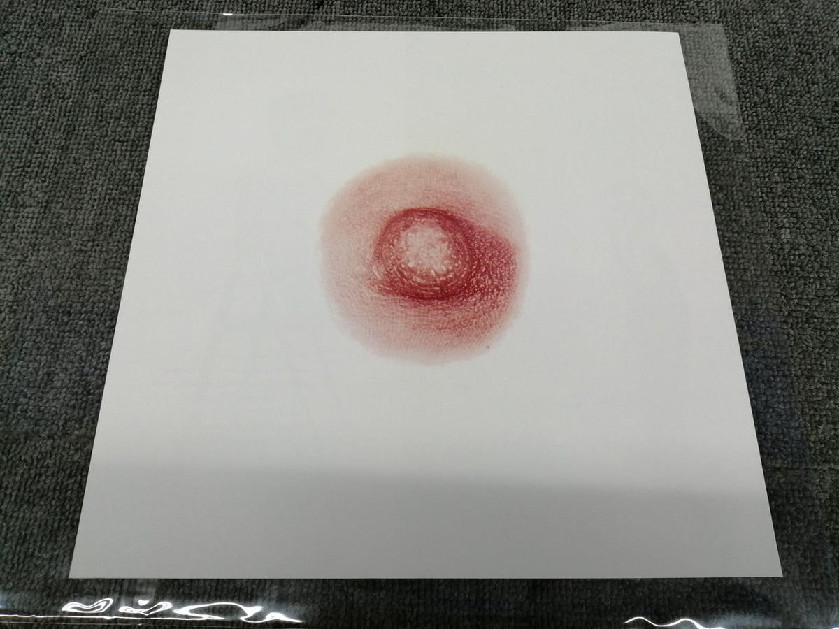 HMV Record Shop Hiroshi/Fission HRLP369