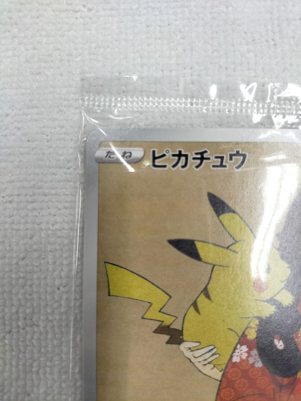 Pokémon Pikachu & Woo (Unopened Bag) 226/S-P 227/S-P Others (No Rarity)