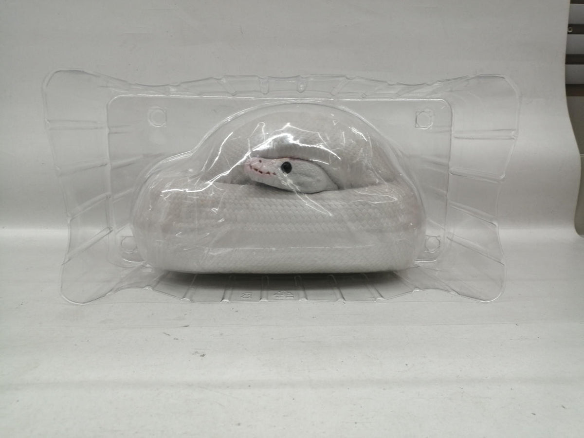 Bandai Namco Ichiban Kuji Reptile & Amphibian Prize B Ball Python Tissue Case