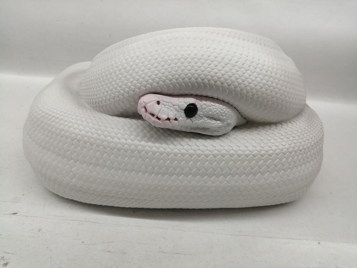 Bandai Namco Ichiban Kuji Reptile & Amphibian Prize B Ball Python Tissue Case
