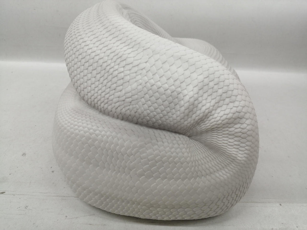 Bandai Namco Ichiban Kuji Reptile & Amphibian Prize B Ball Python Tissue Case