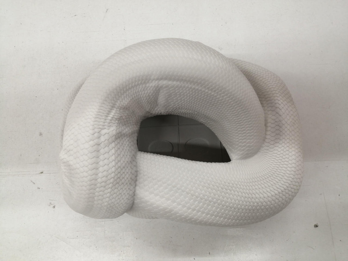 Bandai Namco Ichiban Kuji Reptile & Amphibian Prize B Ball Python Tissue Case