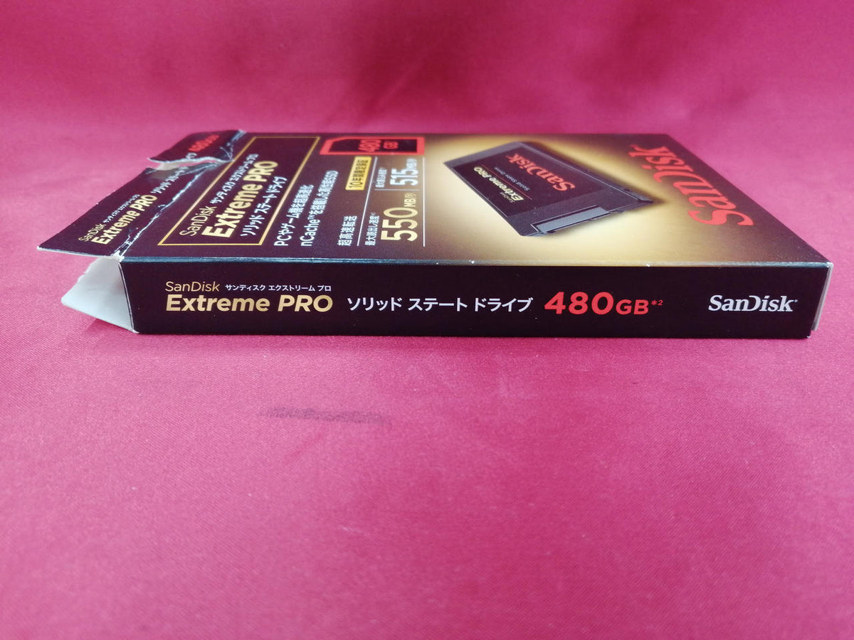 SANDISK SSD SDSSDXPS-480G