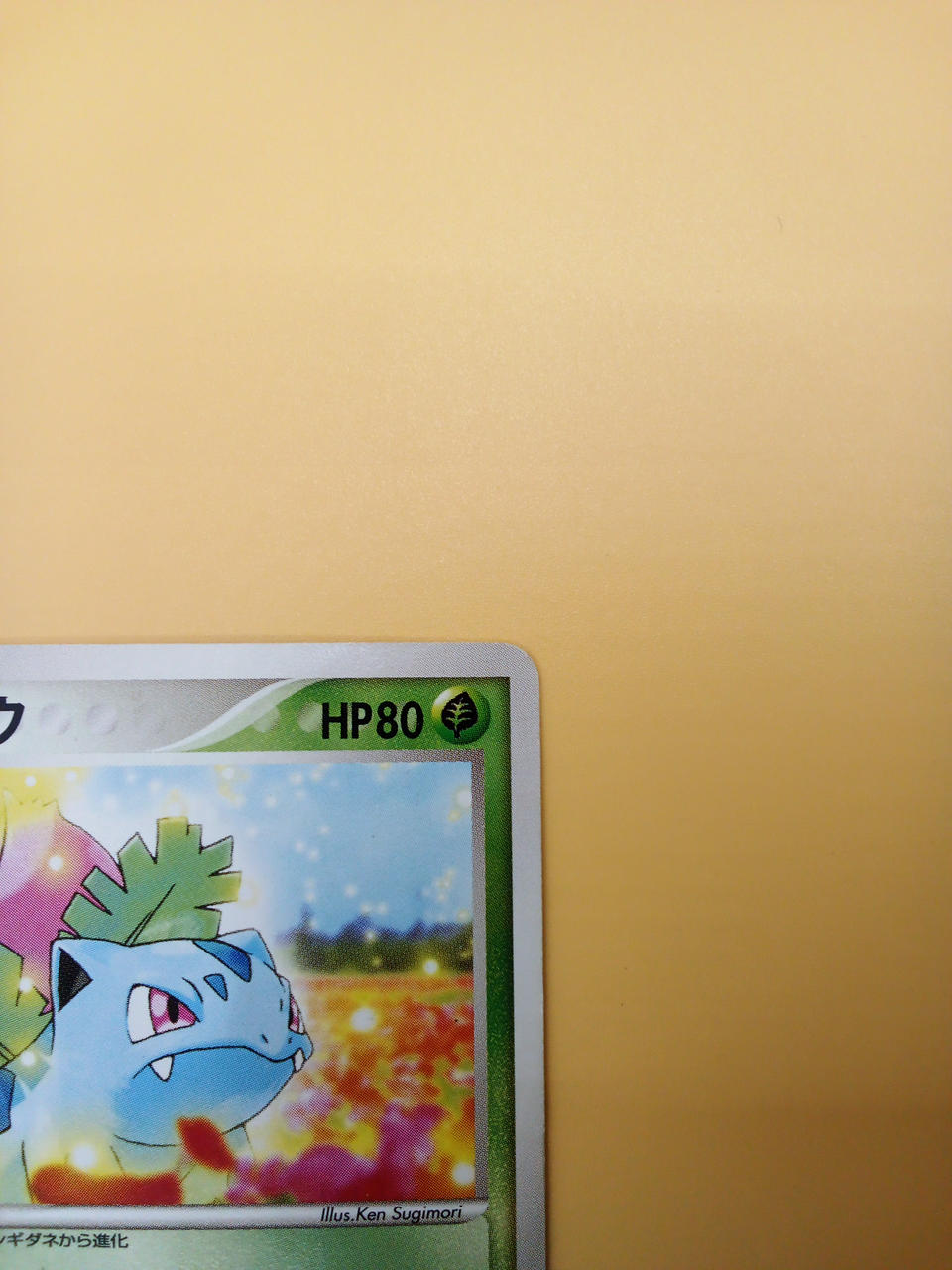 Pokémon Pokémon Card Bulbasaur 004/PCG-P