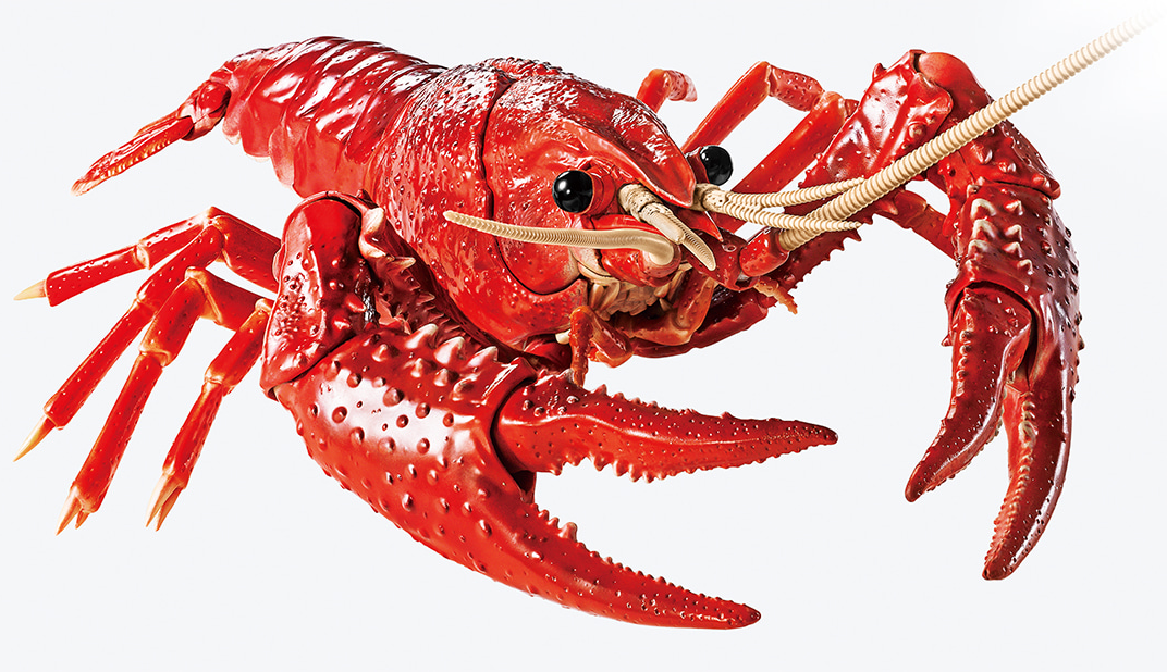 Fujimi Creature Arc Procambarus Clarkii / Louisiana Crawfish (Red) - BanzaiHobby