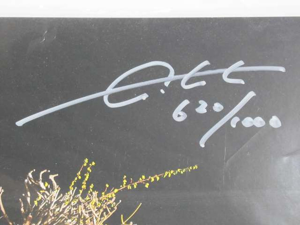 ONLY IN DREAMS Good New Times [LP+CD+Photo Book] GOTCH (Masafumi Goto)