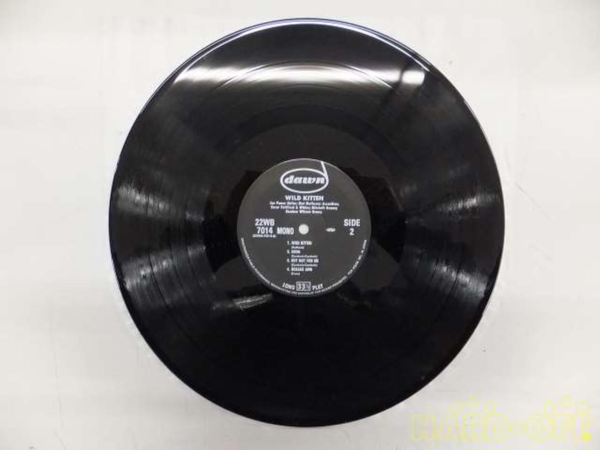 Fun House Co., Ltd. WILD KITTEN/JOE PUMA 22WB-7014/WILD KITTEN/JOE PUMA