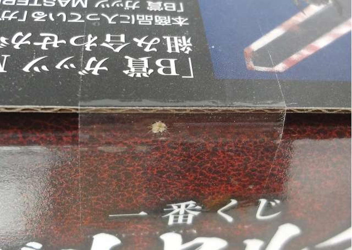 BANDAI [Unopened] Dragon Slayer C Prize MASTERLISE
