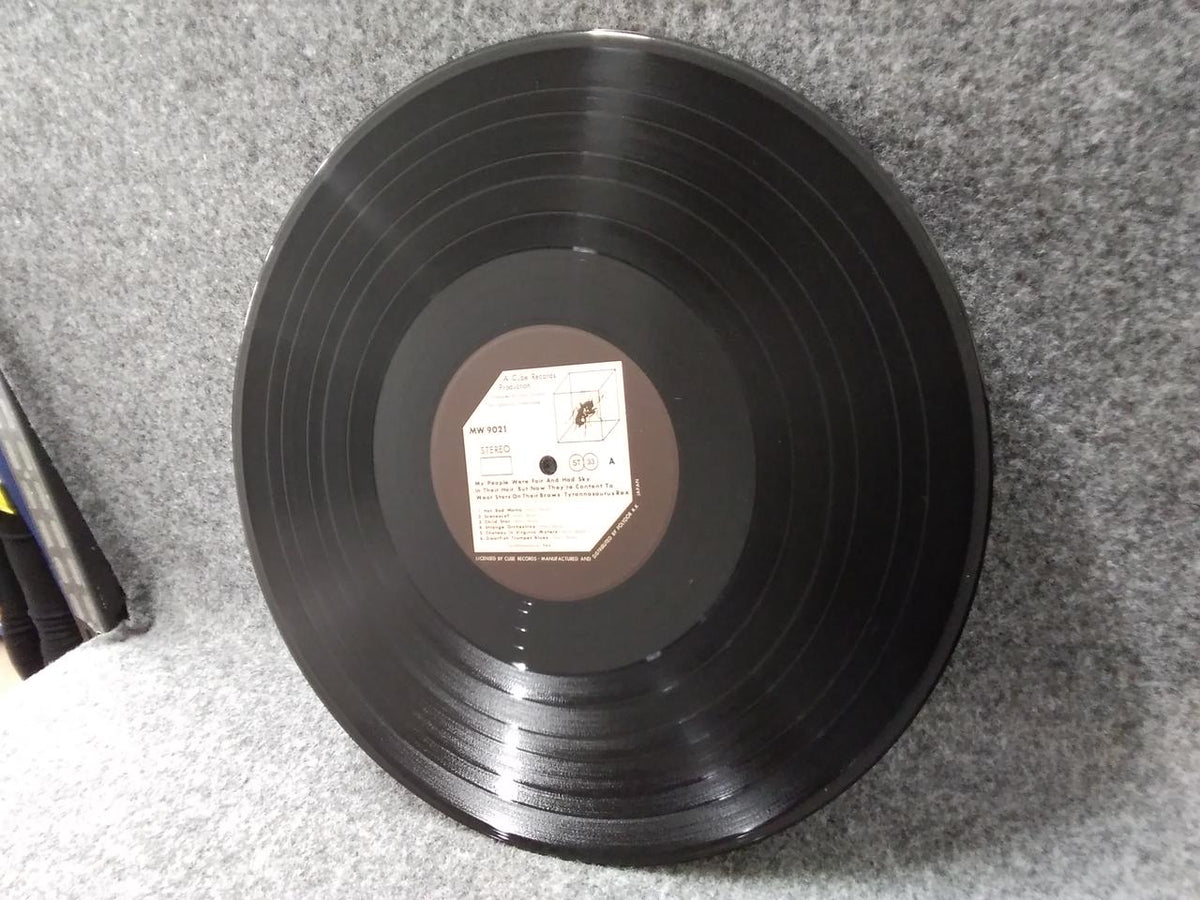 CUBE Record: Tyrannosaurus Rex/Lexstasy