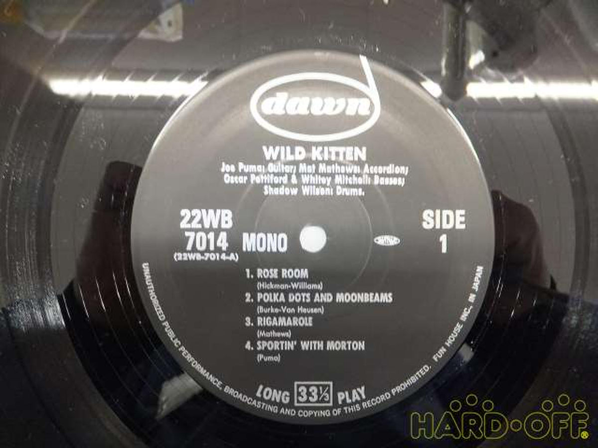 Fun House Co., Ltd. WILD KITTEN/JOE PUMA 22WB-7014/WILD KITTEN/JOE PUMA