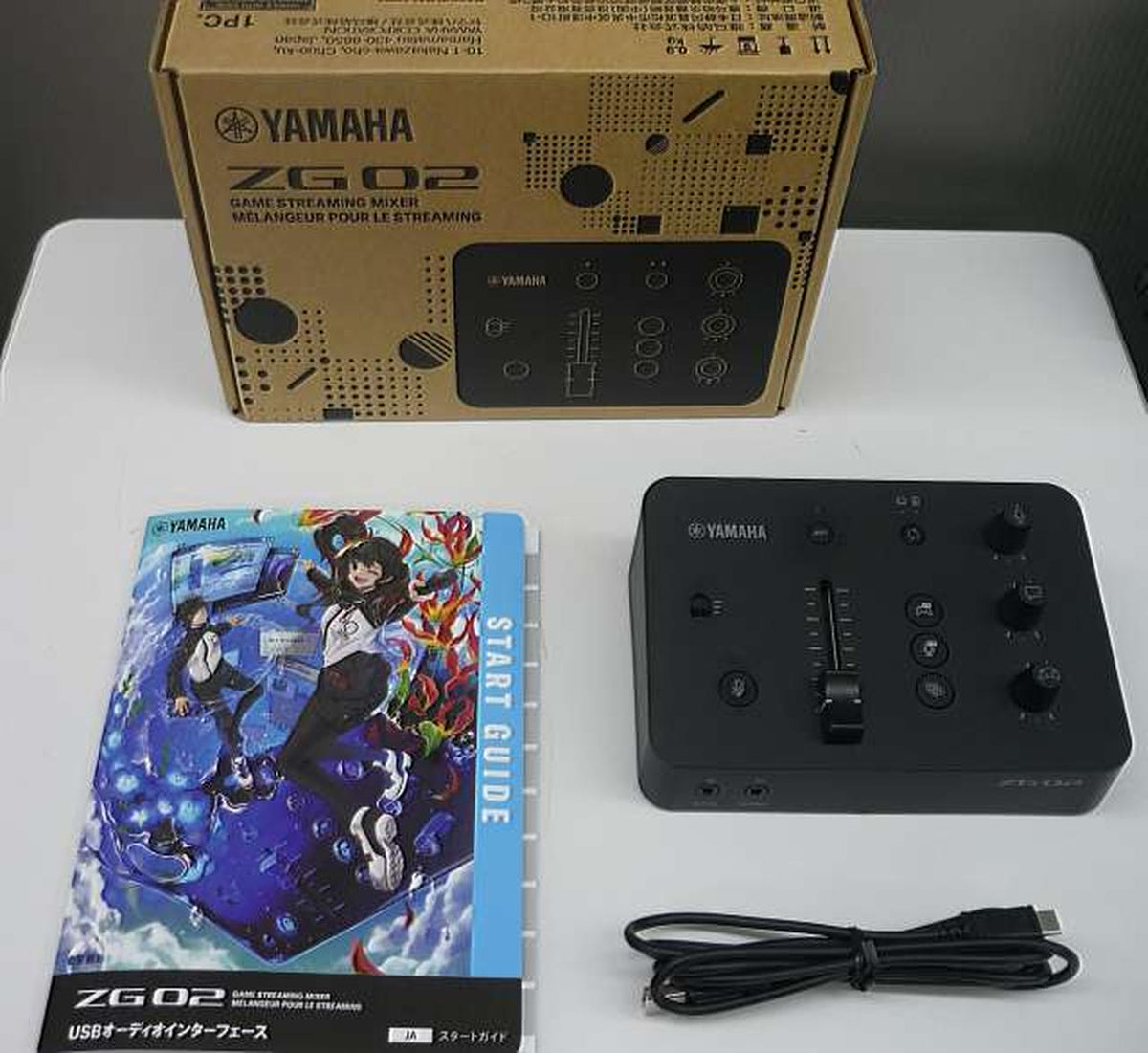YAMAHA Audio Interface ZG02