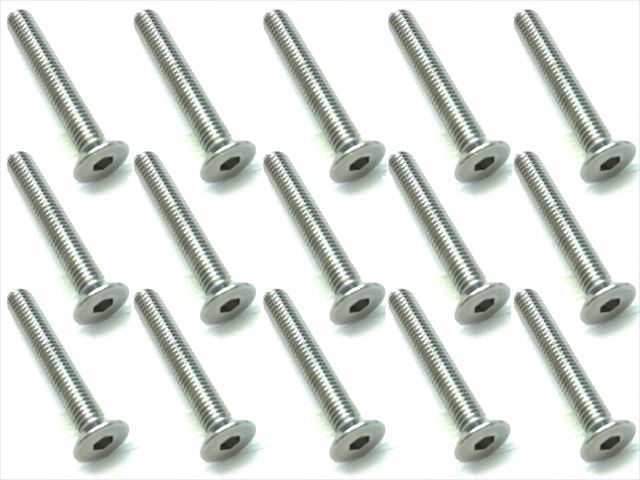 SSR-320 3 x 20 Stainless steel hex flat head screw (15 pcs)