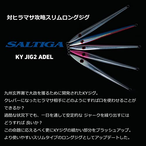 ダイワ(DAIWA) SG(ショアジギング) KYジグ2アデル 220Aシルバー - BanzaiHobby