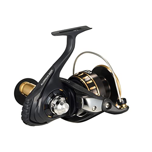 ダイワ(DAIWA) スピニングリール 23BG SW 10000-H - BanzaiHobby