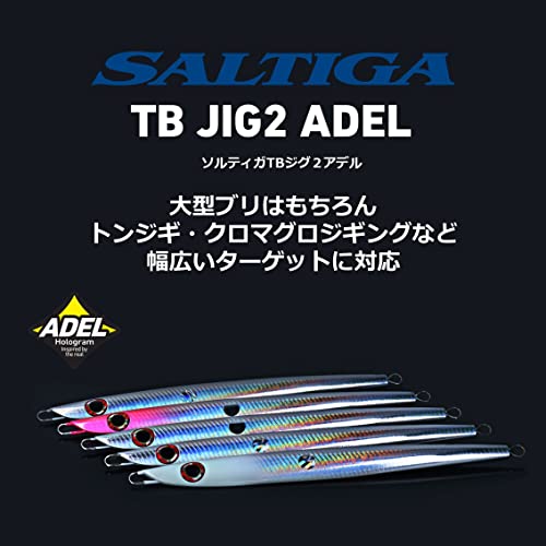 ダイワ(DAIWA) SG(ショアジギング) TBジグ2A 260AMLピンクヘッド - BanzaiHobby