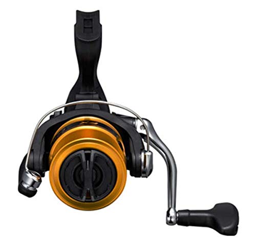 シマノ(SHIMANO) リール 19 FX C3000 3号 150m糸付 – BanzaiHobby