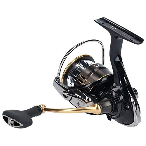 ダイワ(DAIWA) スピニングリール 19 バリスティック LT3000S-CXH (2019モデル) – BanzaiHobby