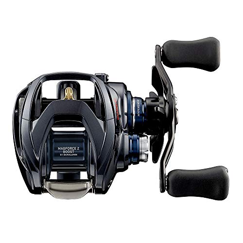 ダイワ(DAIWA) 21 スティーズ A TW HLC 6.3R - BanzaiHobby