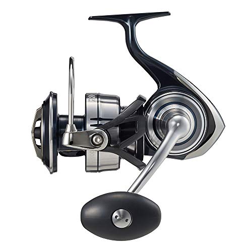 ダイワ(DAIWA) 21 セルテートSW 14000-XH - BanzaiHobby