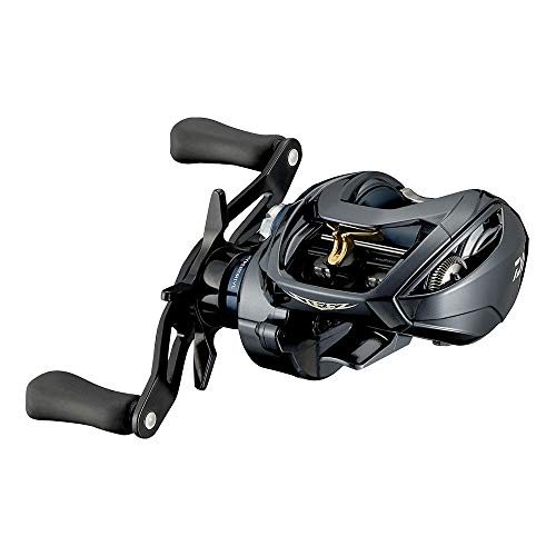 ダイワ(DAIWA) 21 スティーズ A TW HLC 6.3R - BanzaiHobby