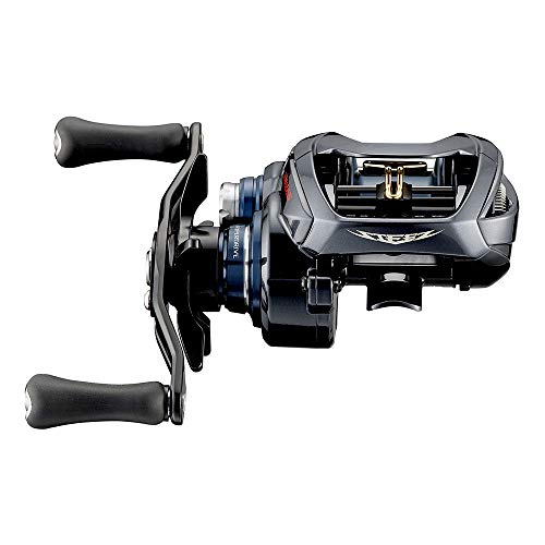 ダイワ(DAIWA) 21 スティーズ A TW HLC 6.3R - BanzaiHobby