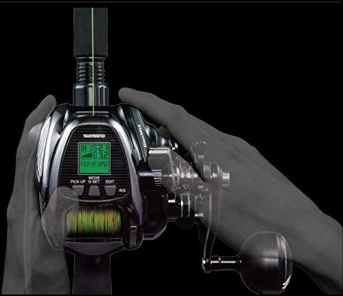 SHIMANO Electric Reel 19 Beastmaster 2000EJ Electric Jigging