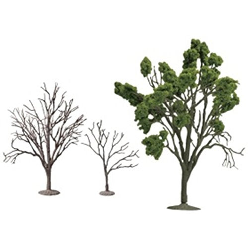 The Tree 101 Ornamental Bonsai Tree Zelkova