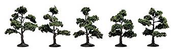 Broad Leaf Tree Summer/Set of 5