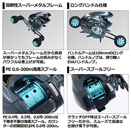 ダイワ(DAIWA) LIGHT SW X IC SS L カウンター付ベイトリール ブラックブルー – BanzaiHobby