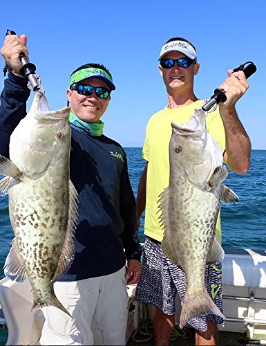 reins(レイン) ボガグリップ 15LB – BanzaiHobby