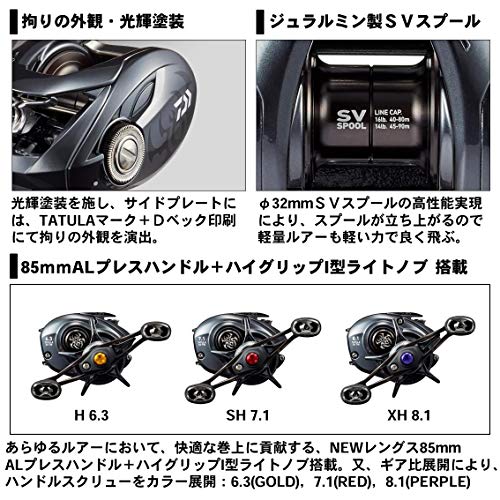 DAIWA 魚餌捲軸20 TATULA SV TW 103SHL（2020 年型號） – BanzaiHobby