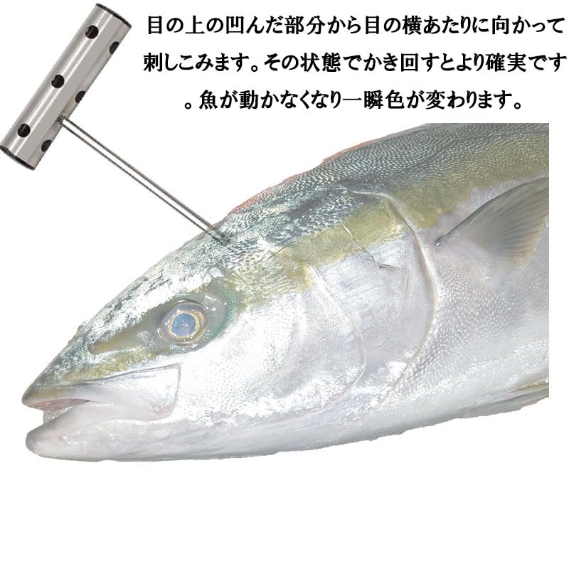 Thujopsis 魚締め ピック 神経締め 魚掴み手袋セット ケガ防止 滑り防止 魚掴み 脳〆 フィッシュピック 血抜き 鮮度 大物 青物 –  BanzaiHobby