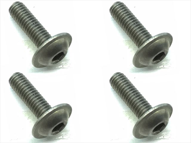 FTR-310 Titanium hex flange screw 3×10