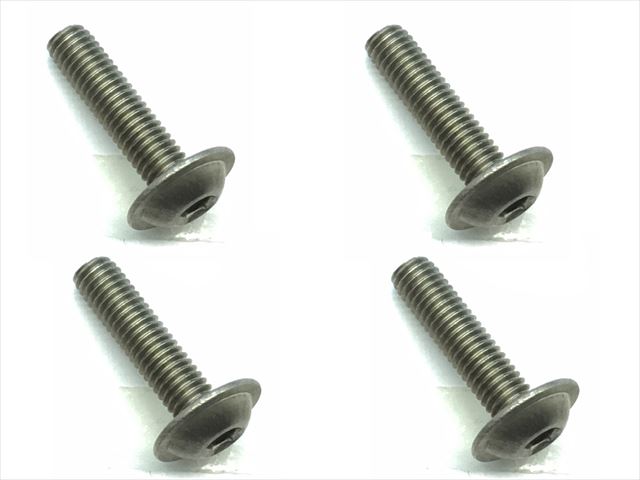 FTR-312 Titanium hex flange screw 3×12