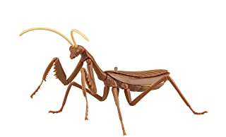 Biology Edition Big Mantis (Brown)