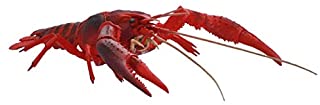 Biology Edition Crayfish (Red)