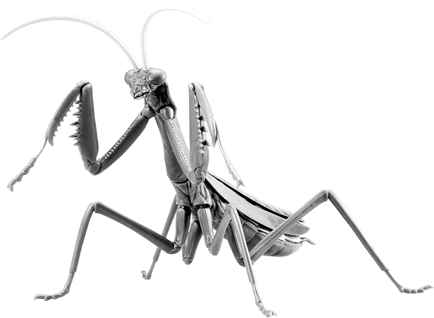 Biology Edition Big Mantis Special Version (Metallic Silver)
