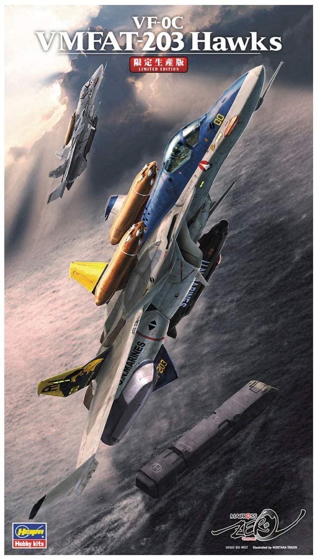 VF-0C (Single Seat Delta Wing) `VMFAT-203 Hawks`