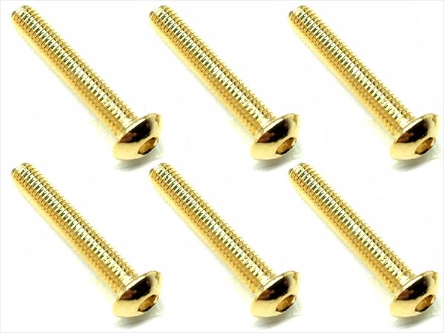 NSR-318G 3×18 Stainless steel hex Pan Head Screw (6 pcs.) 24K go