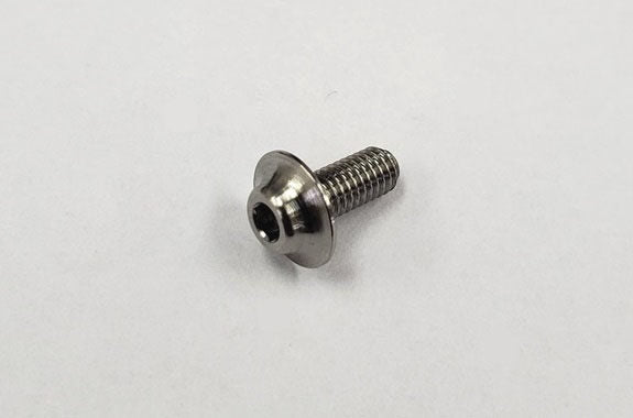 RT-002A SPM titanium motor screw (2 pcs)