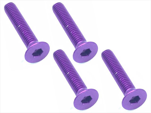 SAR-316P Jura Hex Plate Screw (Purple / 4 pieces)